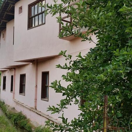 Elmas Pansiyon Karacasu  Εξωτερικό φωτογραφία