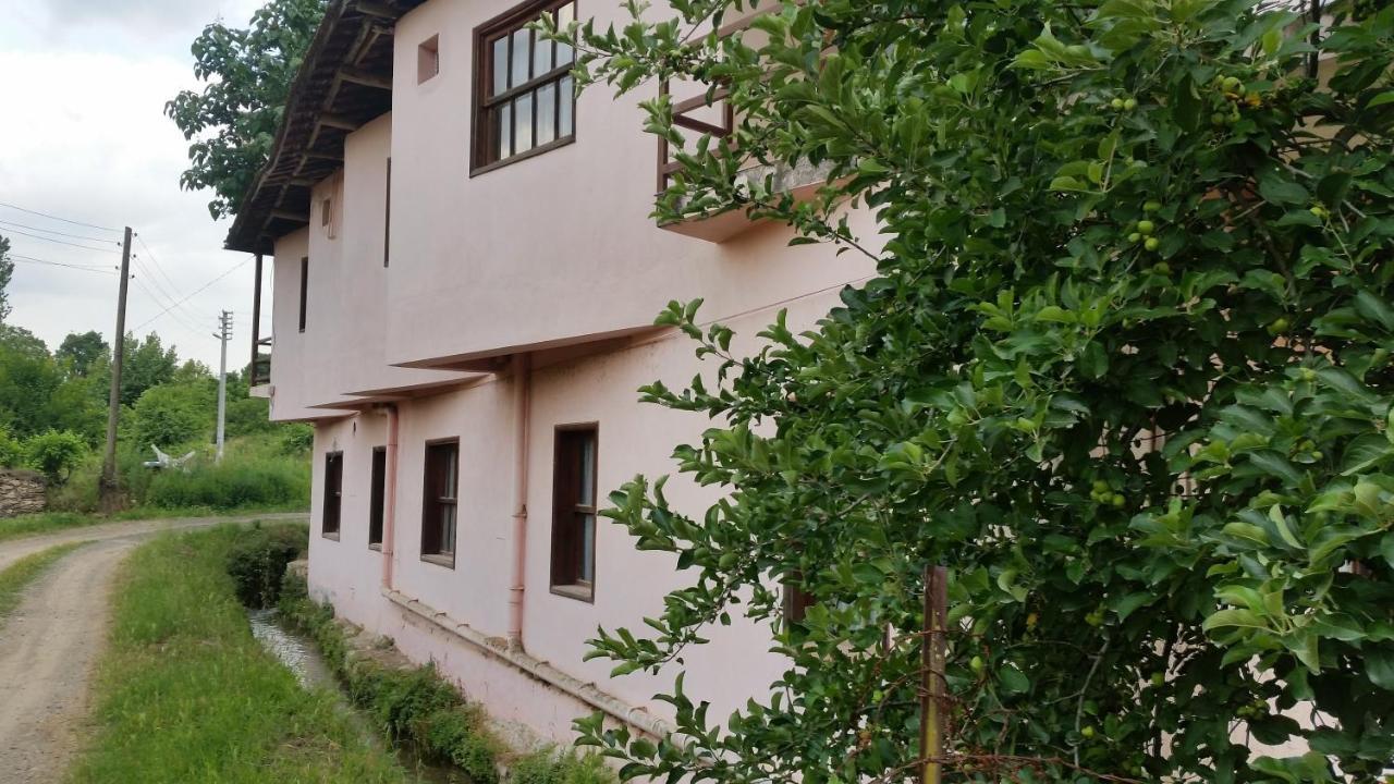 Elmas Pansiyon Karacasu  Εξωτερικό φωτογραφία